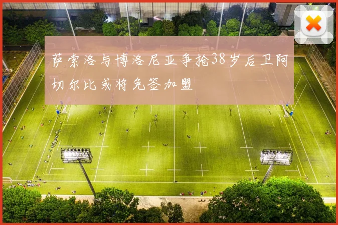 萨索洛与博洛尼亚争抢38岁后卫阿切尔比或将免签加盟